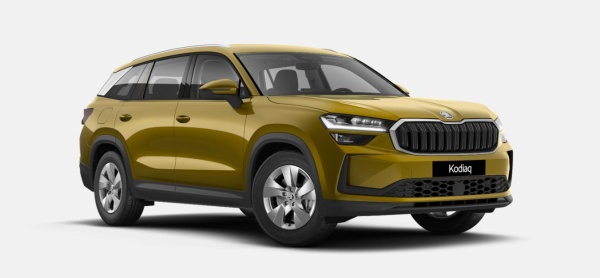 Škoda Kodiaq 2.0 TDI Top Selection