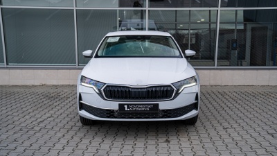 Škoda Octavia 2.0 TDI Selection (pohľad zozadu)