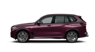 BMW X5 40d xDrive (pohľad zozadu)