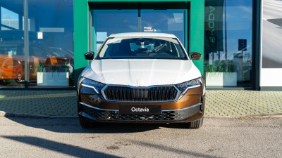 Škoda Octavia 1.5 TSI Selection (pohľad zozadu)