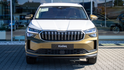 Škoda Kodiaq 2.0 TDI Platinum 4x4 (pohľad zboku)