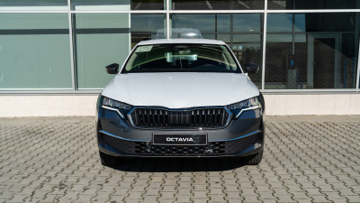 Škoda Octavia 2.0 TDI Extra (pohľad zozadu)