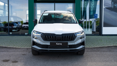 Škoda Karoq 2.0 TDI Top Selection (pohľad zozadu)