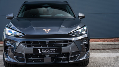 CUPRA Terramar 2.0 TSI 4x4 (pohľad do interiéru)