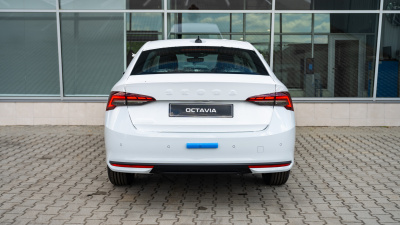 Škoda Octavia 2.0 TDI Selection (pohľad zozadu)